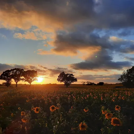 Seeapartment Apartment *